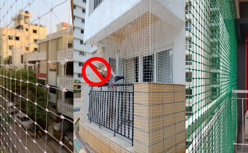 Pigeon Safety Nets In Hyderabad